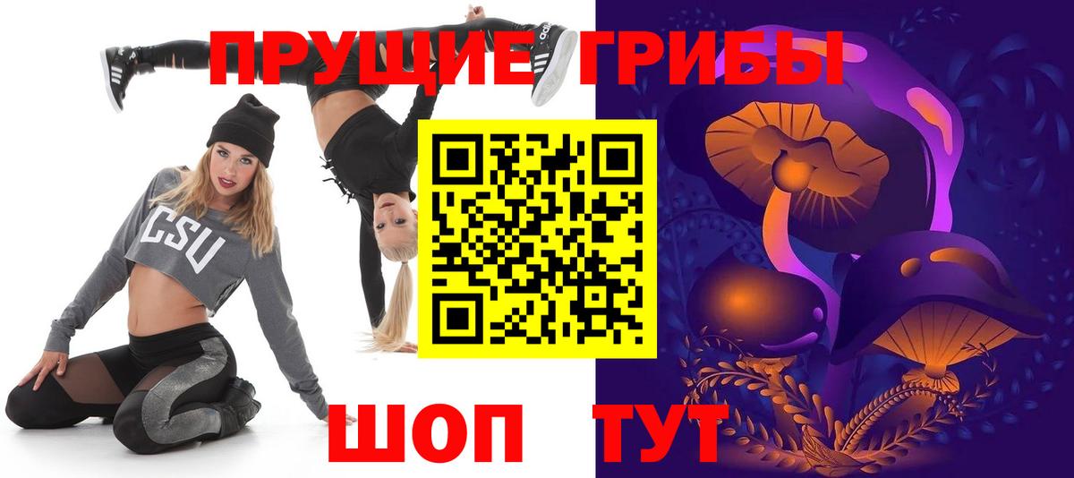 купить наркотики сайты  Галлюциногенные грибы Psilocybe  Вход с VPN  Изобильный 